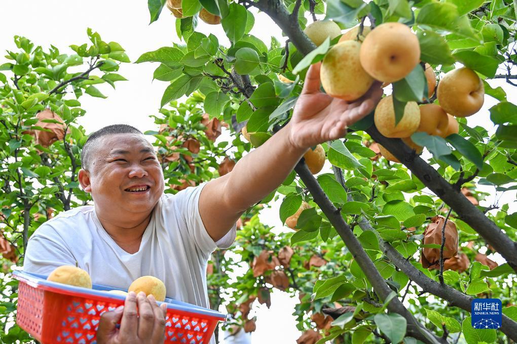 威尼斯送彩金